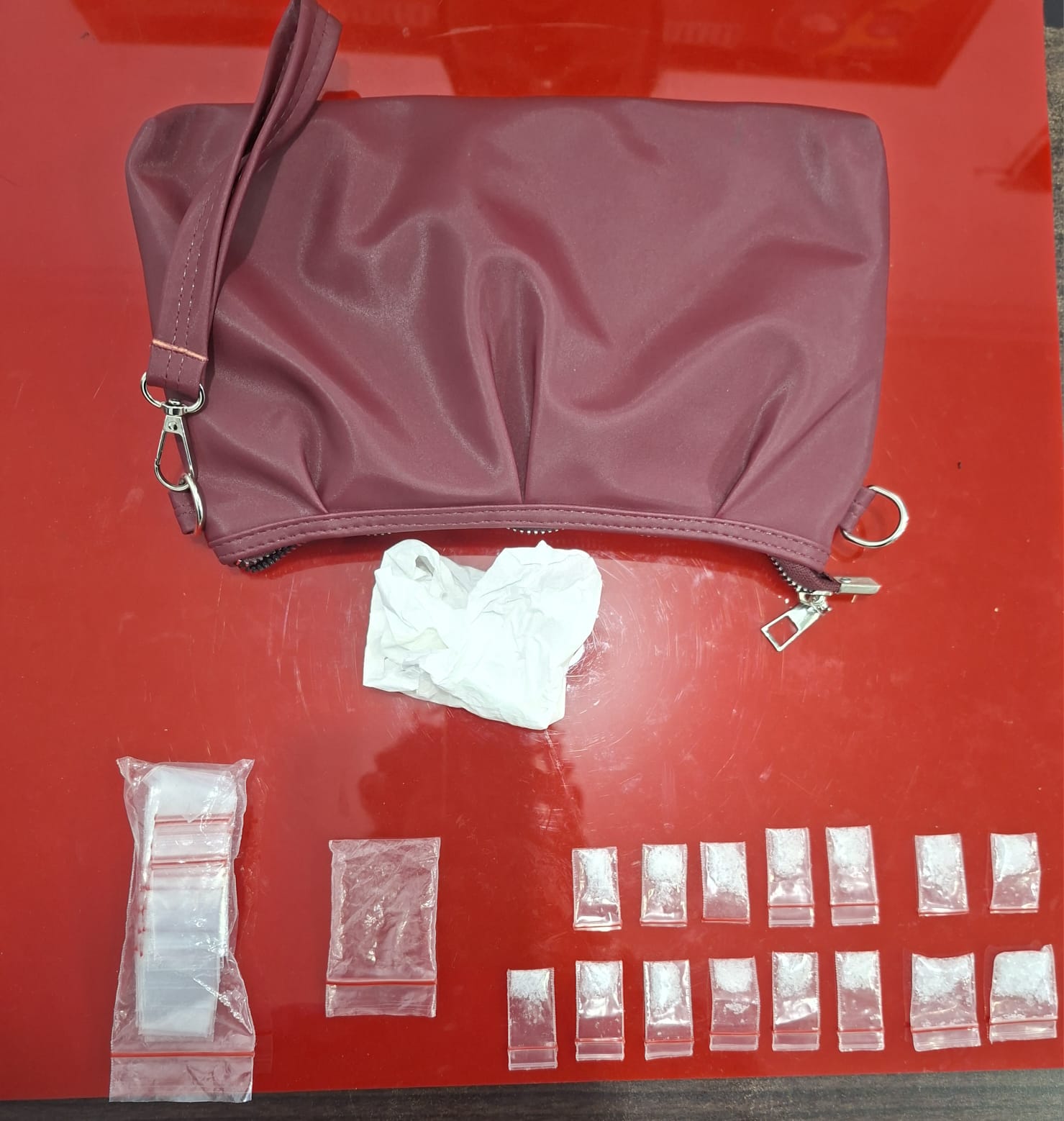 *Tak Berkutik Saat Digerebek, Perempuan Diduga Pengedar Sabu Ditangkap di Tambusai Utara dengan 15 Paket Narkotika*